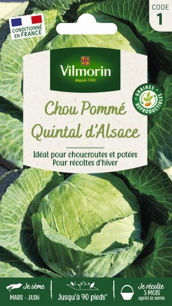 Potagères - Chou Blanc Quintal d'Alsace - PACKAGING_RECTO
